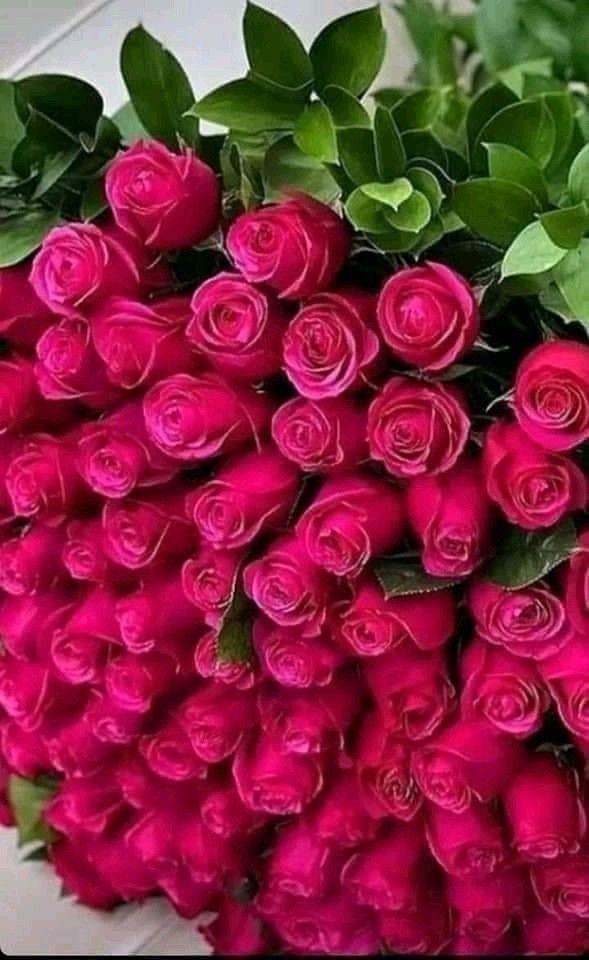 Celestial Blooms: A Carousel of Fragrance